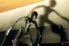 expo_cite_des_congres_driyades_le_feu