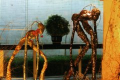 expo_la_cite_des_congres_les_driyades_1999